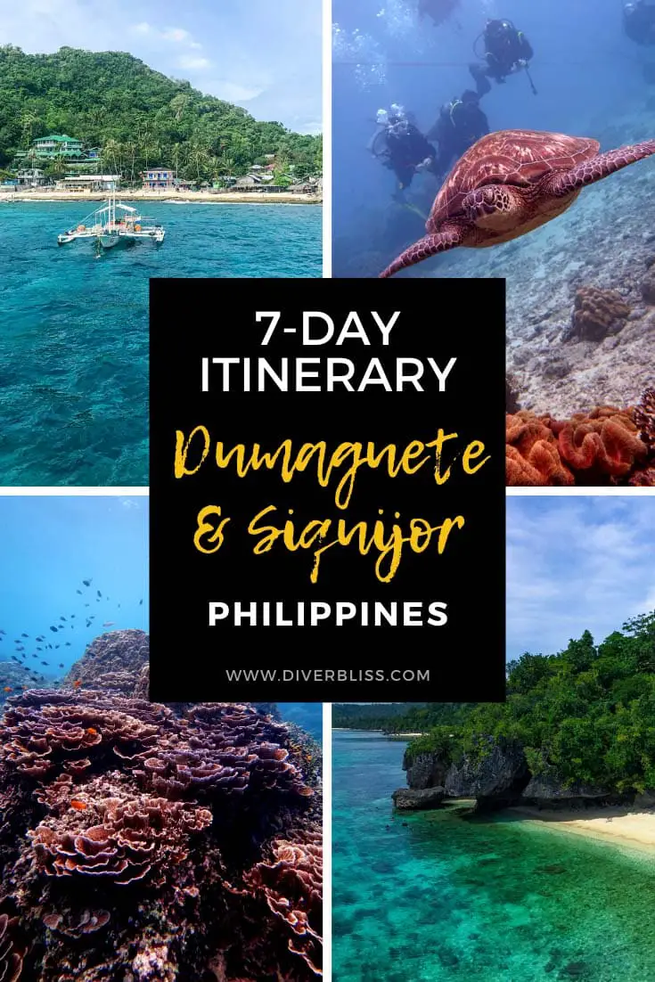 dumaguete siquijor tour