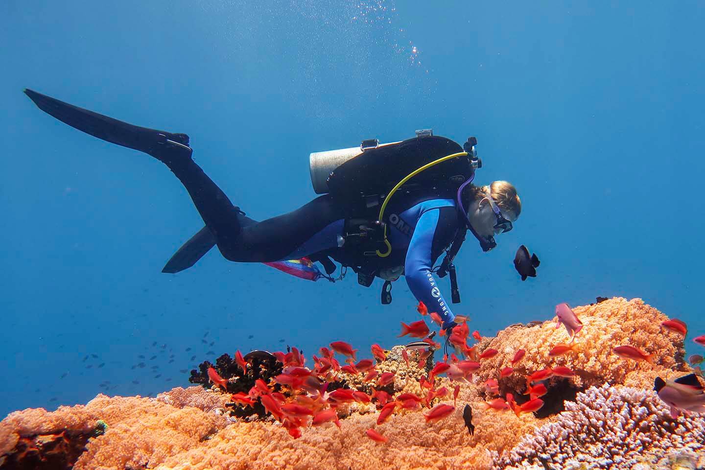 Dive buddy, Sam Arnold, Diving in Anilao during PADI Women's Dive Day.