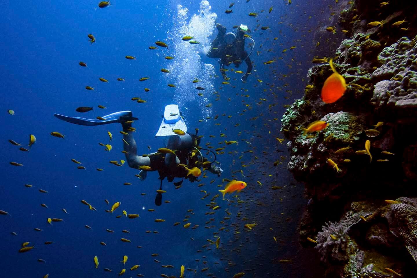 Bad diver behavior underwater is if you endanger the life of others.