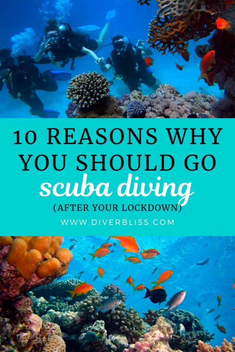 10 Reasons Why Scuba Diving Is The Best Hobby To Take After Your Lockdown