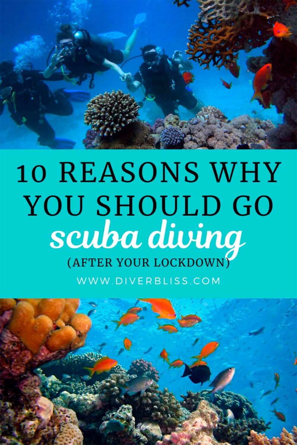 10 reasons why you should take up scuba diving as your hobby after your lockdown