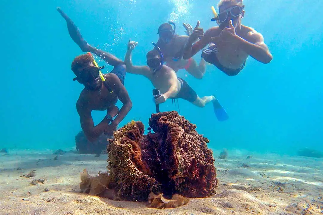 Snorketling with giant clams in Makogai Island