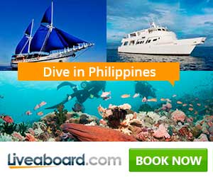 Surprise Her with a Liveaboard Trip