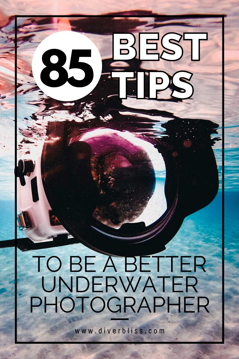 85 Best Tips to be a better underwater photographer