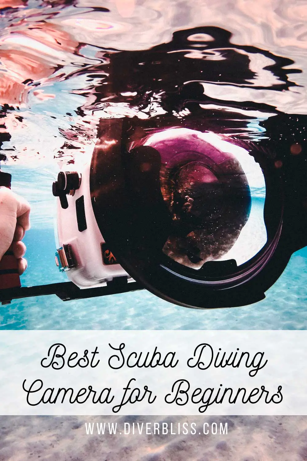 Best Scuba Diving Camera for Beginners