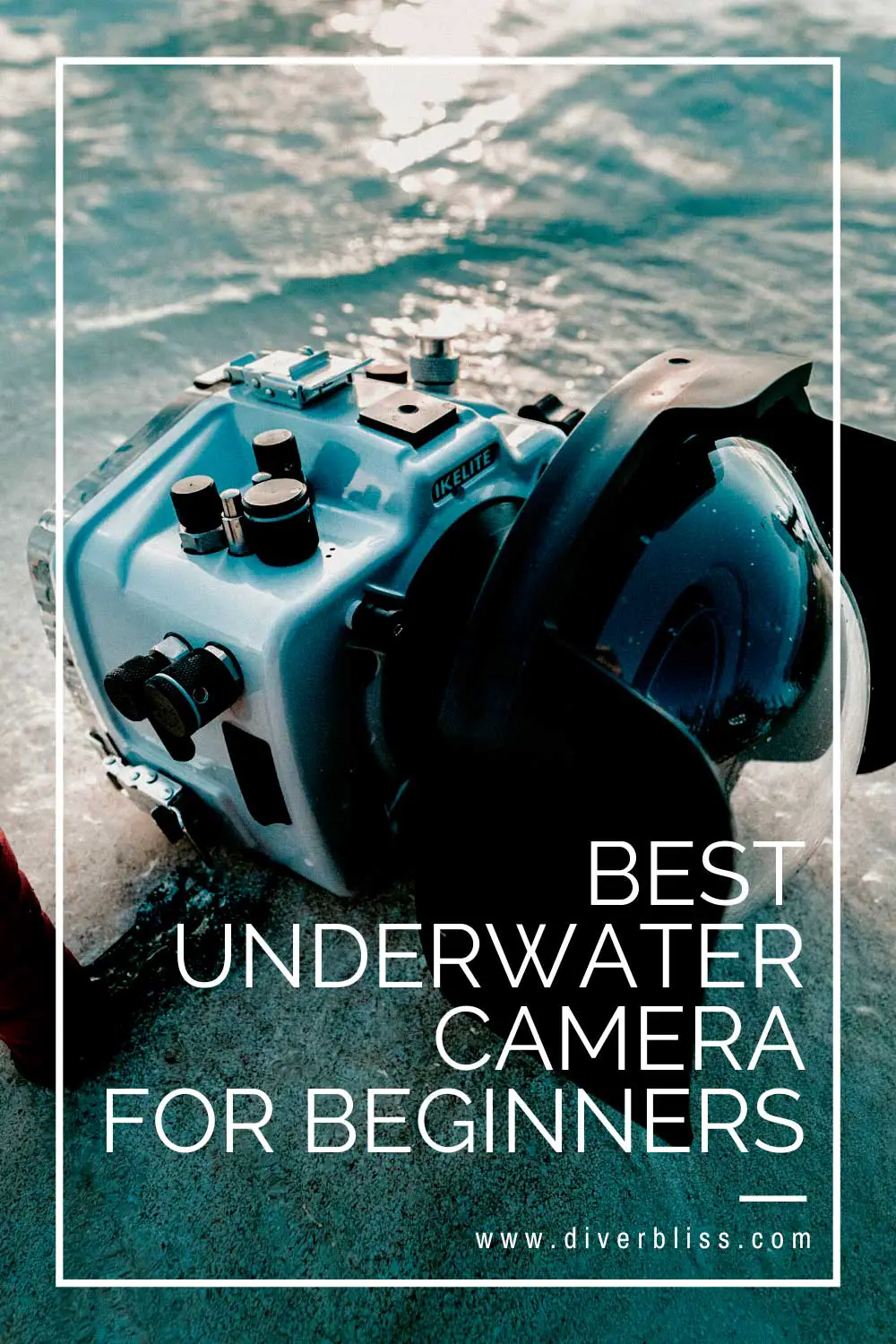 best underwater camera for beginners