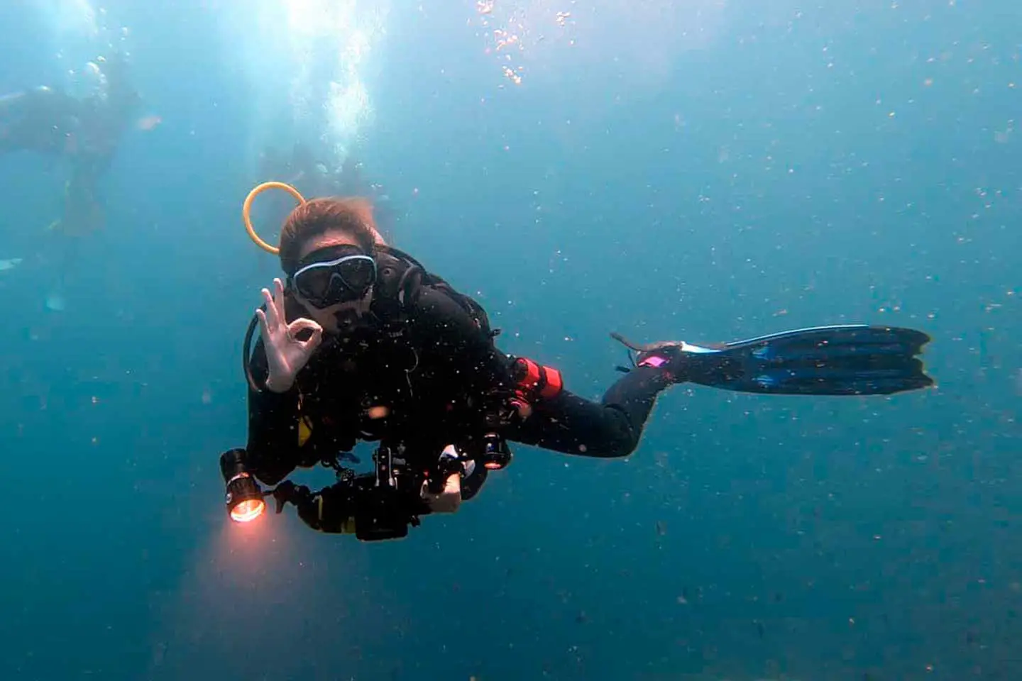 Best Scuba Diving Cameras For Beginner Underwater Photographers in 2022