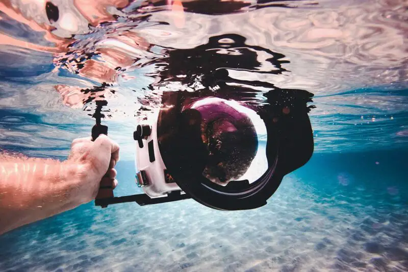 Best Scuba Diving Cameras For Beginner Underwater Photographers