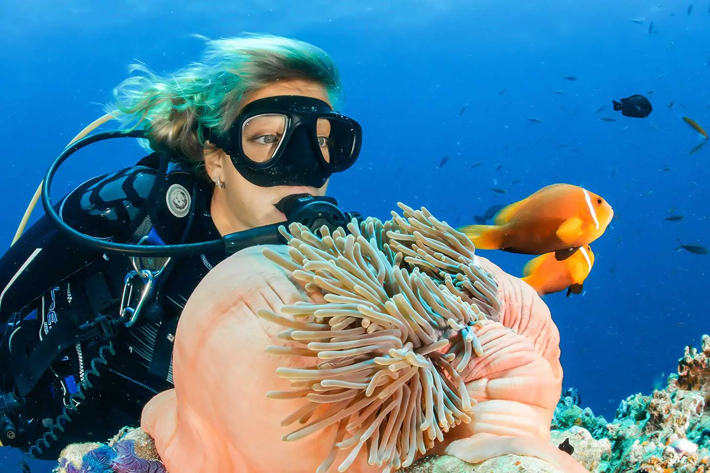 How to Take Underwater Photos of Divers: Woman Scuba Diver looking at anemonefish