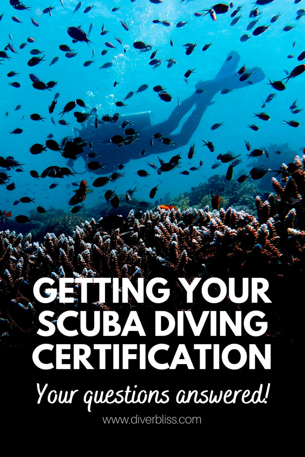 Getting your scuba diving certification, your questions answered!