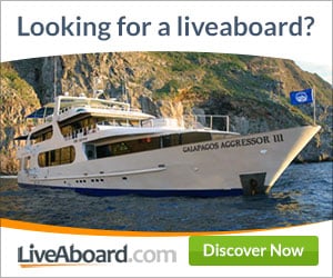 Liveaboard Trip