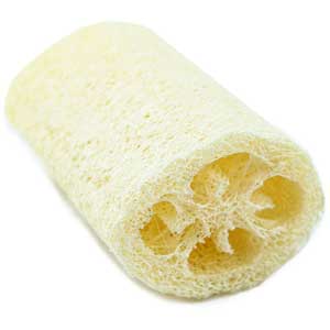Natural Loofah Sponge from Bestowed Essentials