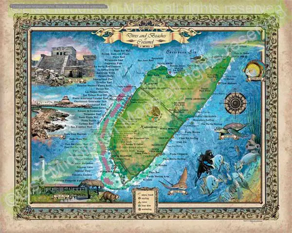 Cozumel dive sites map by Lisa Middleton