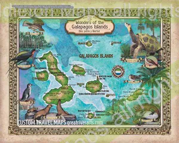 Galapagos dive map by Lisa Middleton