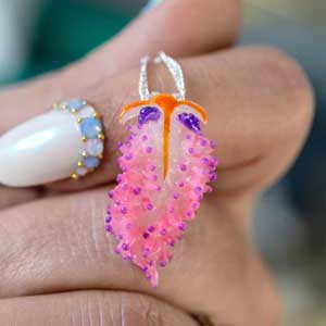 nudibranch necklace