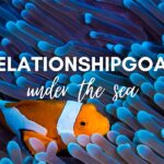 Relationships under the sea
