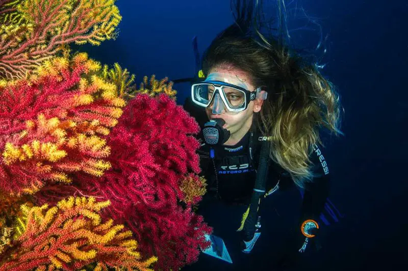 Equipment For Scuba Diving An Illustrated Guide For Beginners