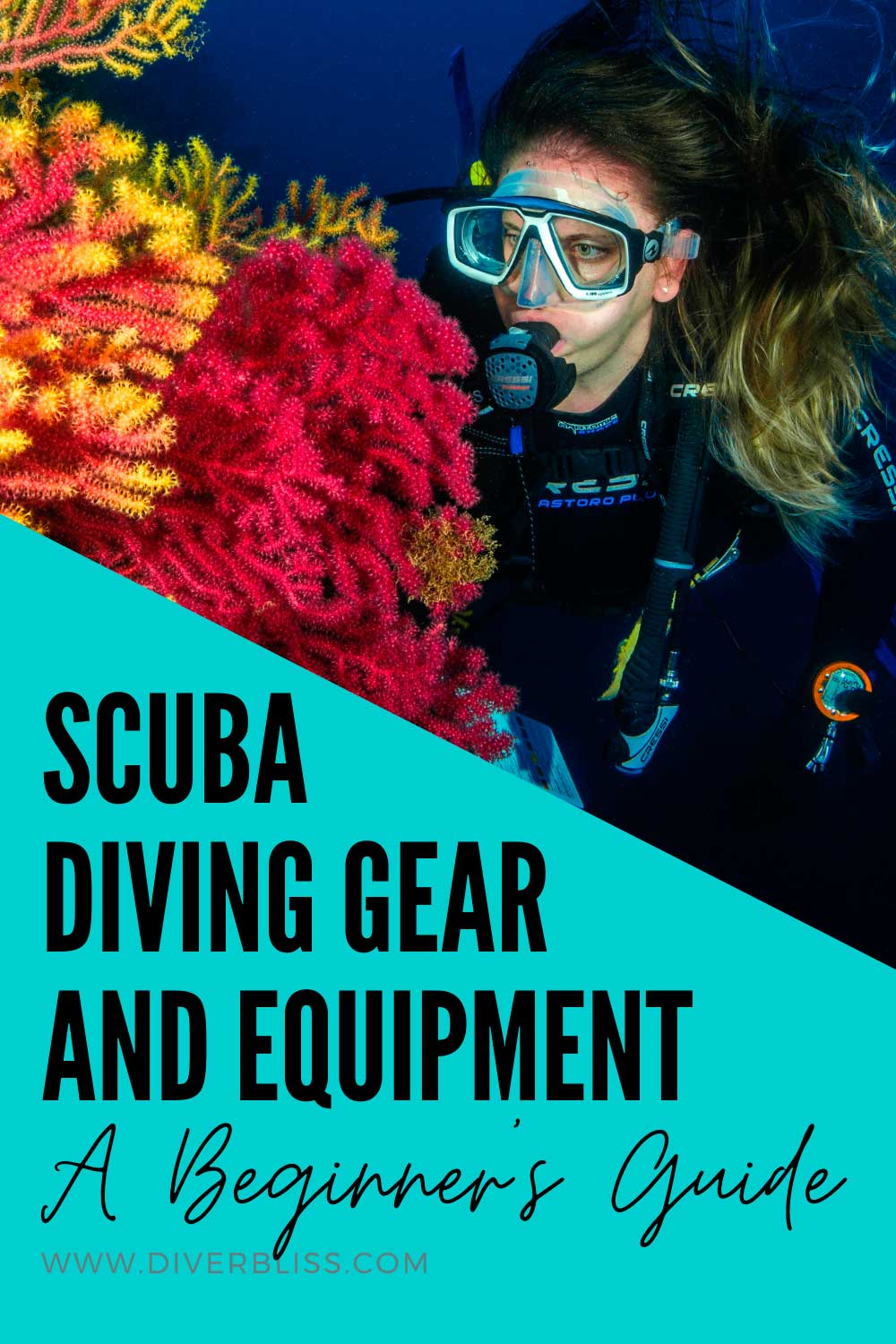 a beginner's guide to scuba diving gear and equipment: