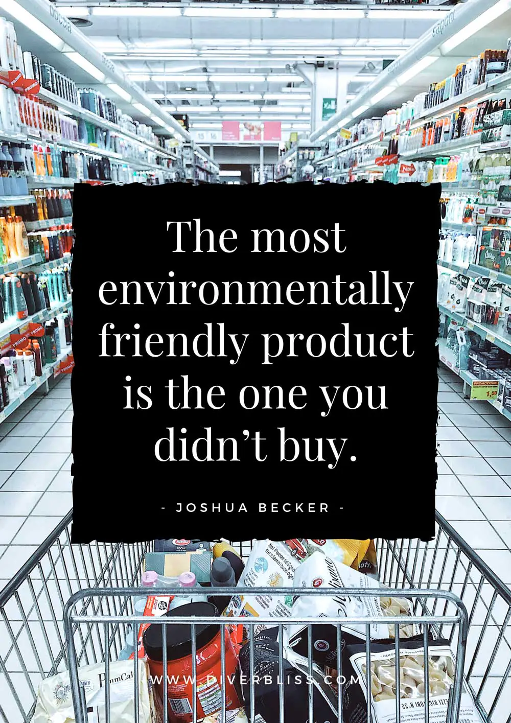 Say no to plastic quotes poster: “The most environmentally friendly product is the one you didn’t buy.”– Joshua Becker,