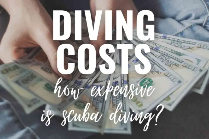 Scuba Diving Cost How Much Money Do You Need?