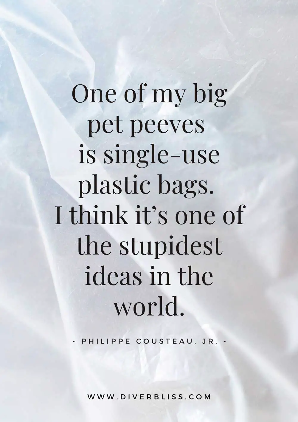 Single-Use Plastic Quotes Poster: “One of my big pet peeves is single-use plastic bags. I think it’s one of the stupidest ideas in the world.”– Philippe Cousteau, Jr.