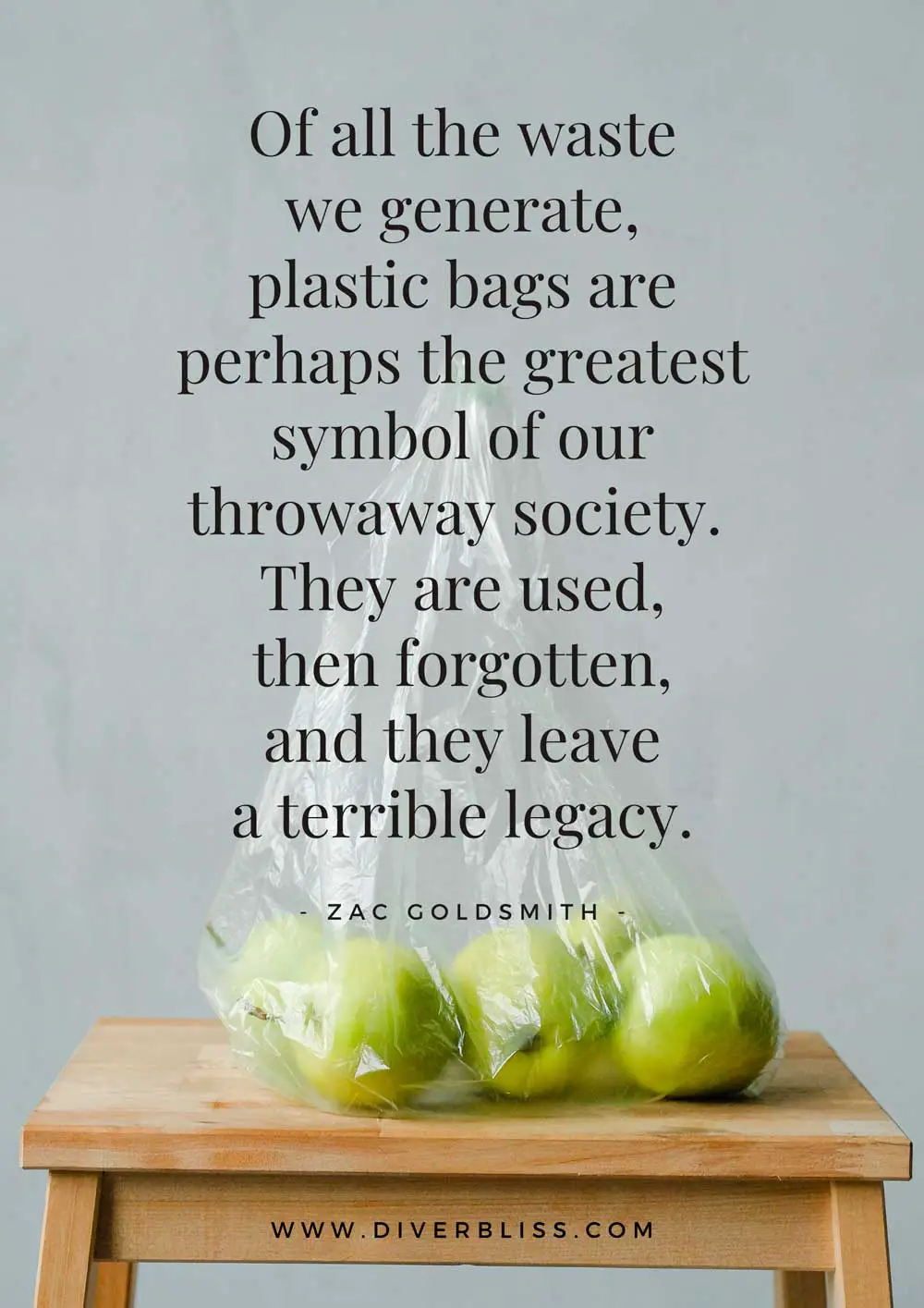 Single-Use Plastic Quotes Poster: “Of all the waste we generate, plastic bags are perhaps the greatest symbol of our throwaway society. They are used, then forgotten, and they leave a terrible legacy. – Zac Goldsmith