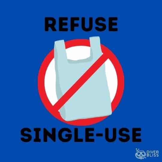 Say No to Plastic slogan: Refuse single-use.