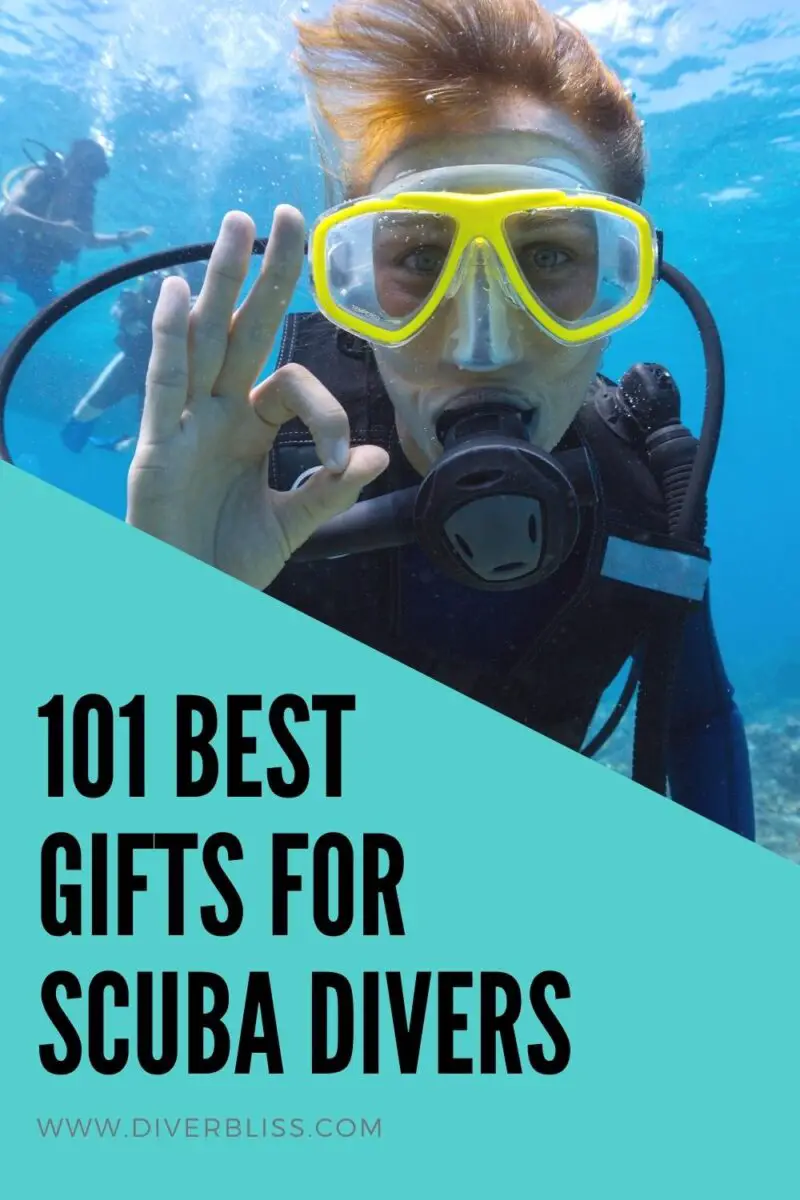 101 Best Gifts For Scuba Divers In 2021 Ultimate List!