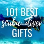 101 Best Scuba Diver Gifts