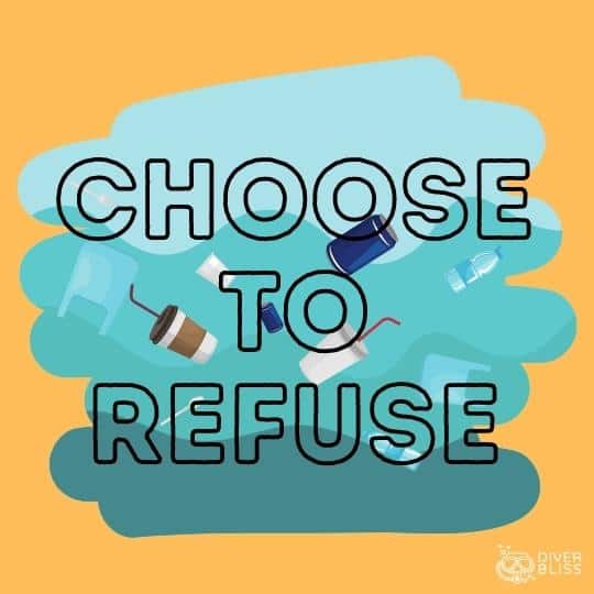 Say No to Plastic slogan: Choose to Refuse