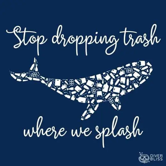 Say No to Plastic slogan: Stop dropping trash where we splash. 