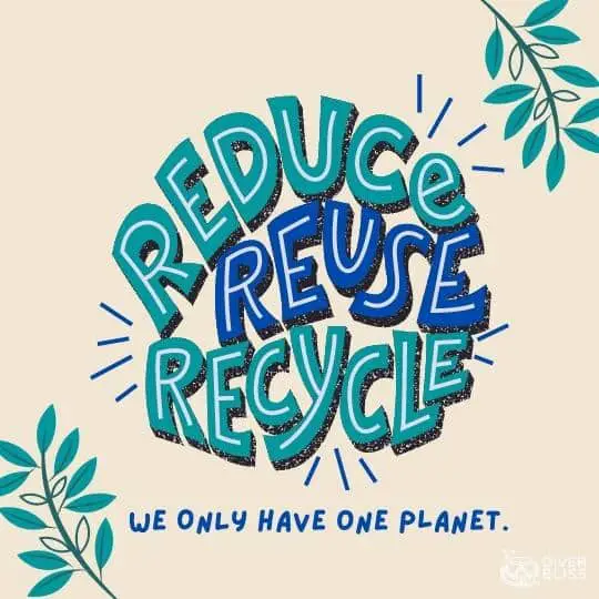 Say No to Plastic slogan: Reduce Reuse Recycle, we only have one planet.