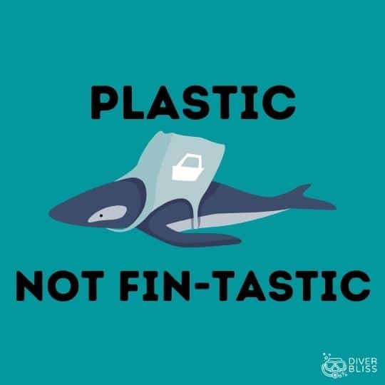 Say No to Plastic slogan: Plastic is not fin-tastic.