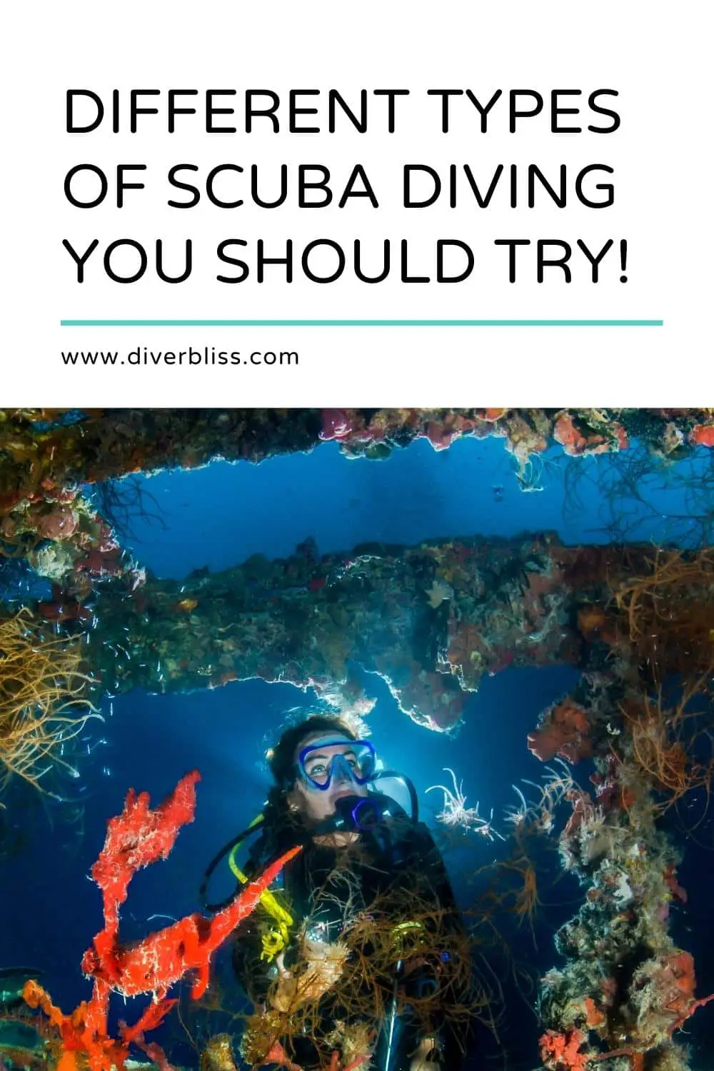 types of scuba diving
