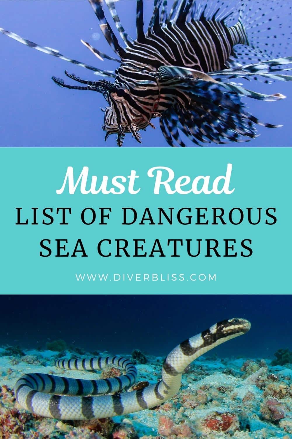 Must read list of dangerous sea creatures