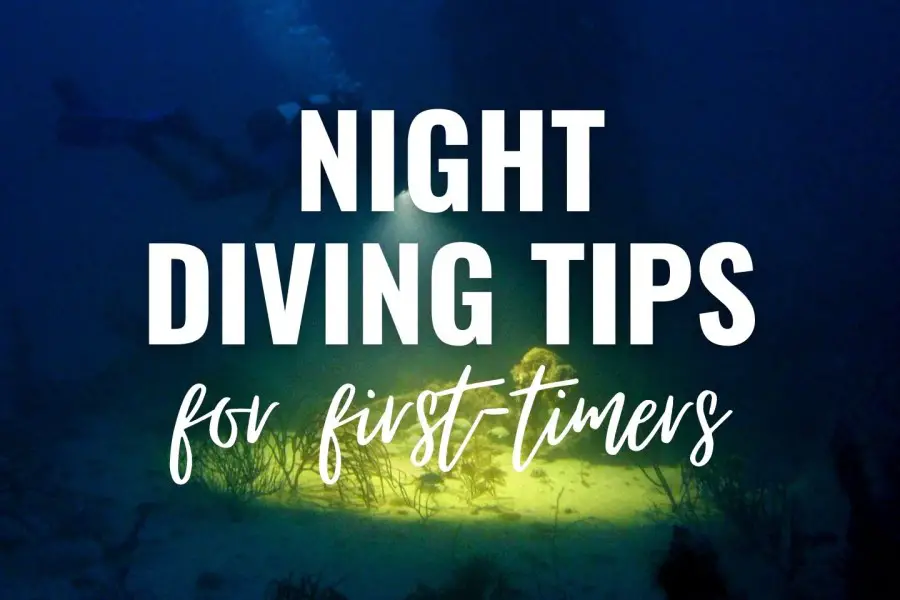 Night diving tips for first timers