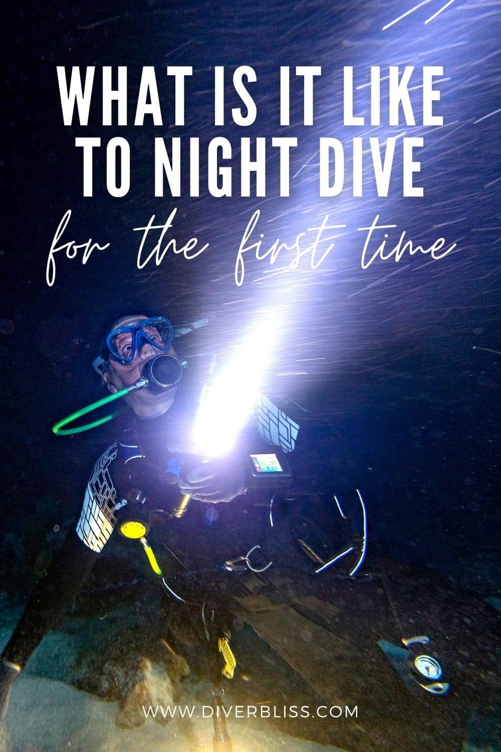 what is it like to night dive for the first time