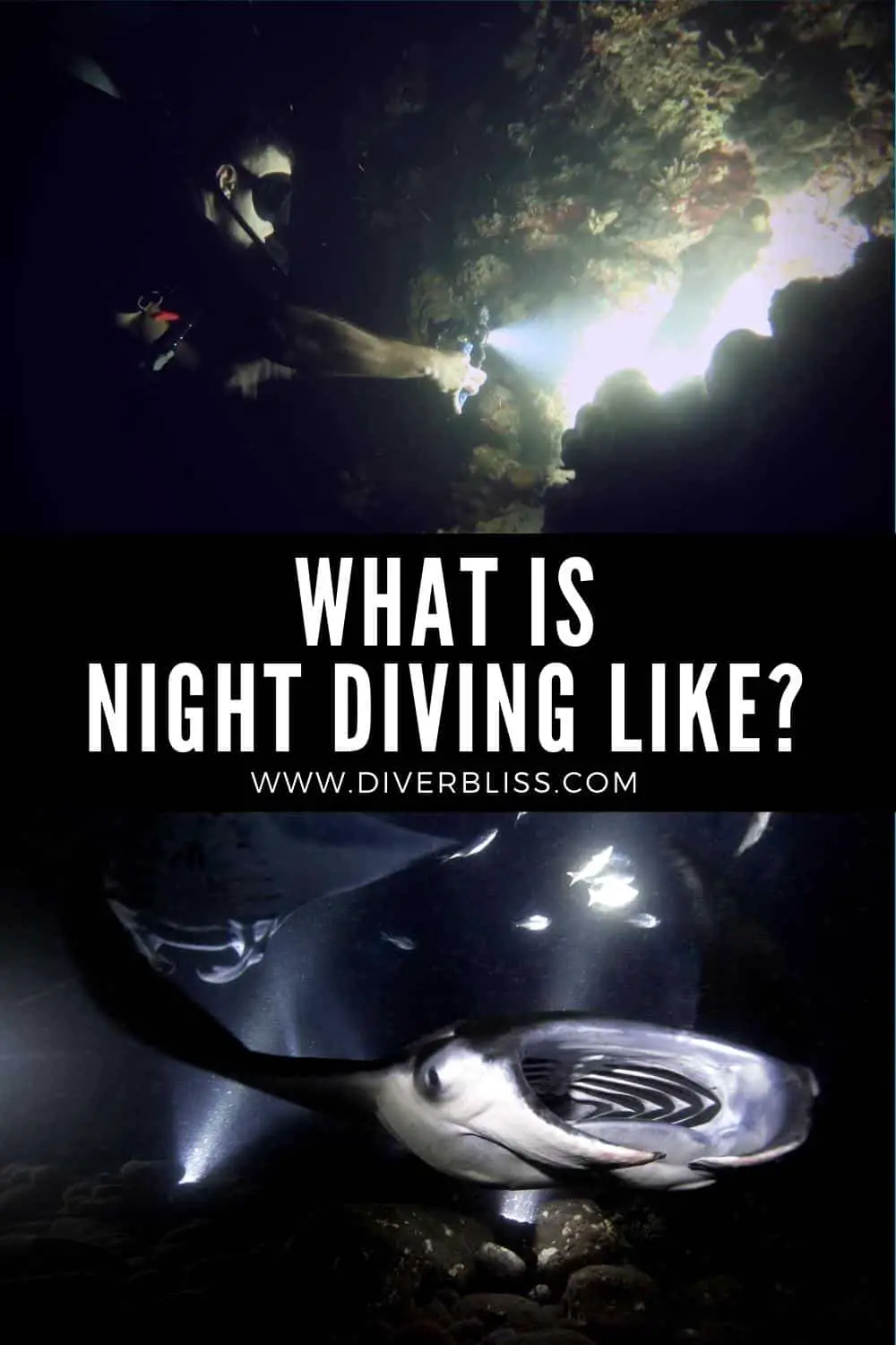 what is night diving like