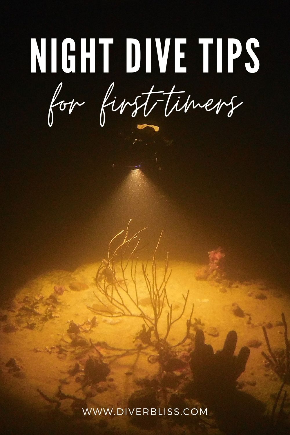 night dive tips for first timers