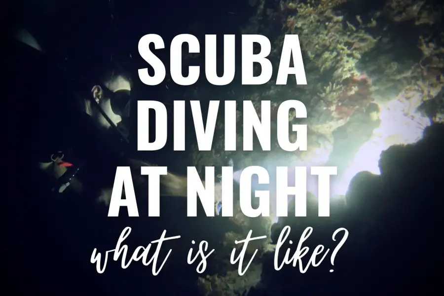 Scuba diving at night: what is it like?