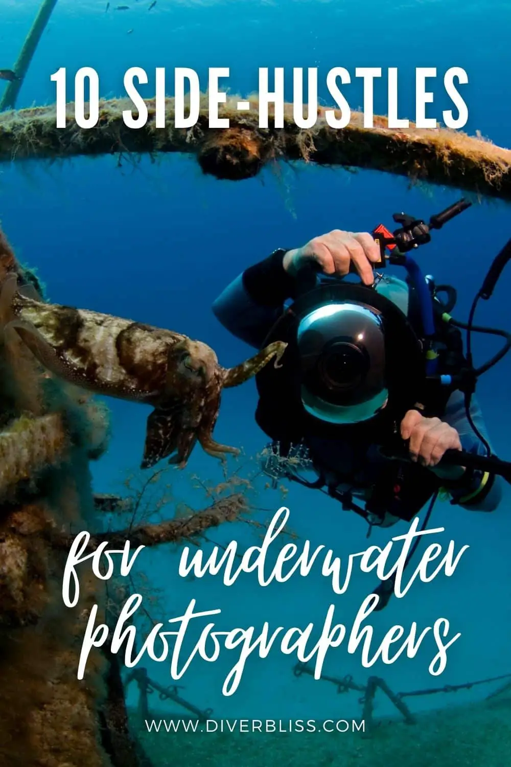 10 side hustles for underwater photographers