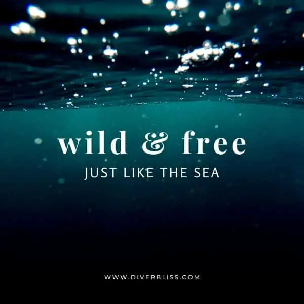 Sea Captions for Instagram: Wild and free just like the sea