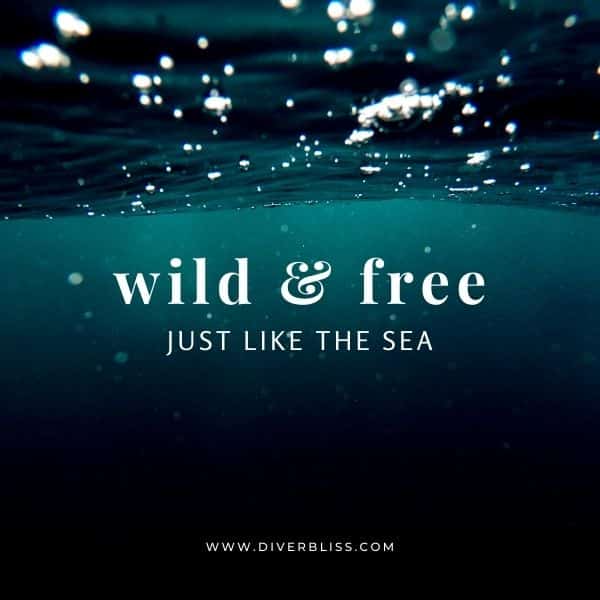 Sea Captions for Instagram: Wild and free just like the sea