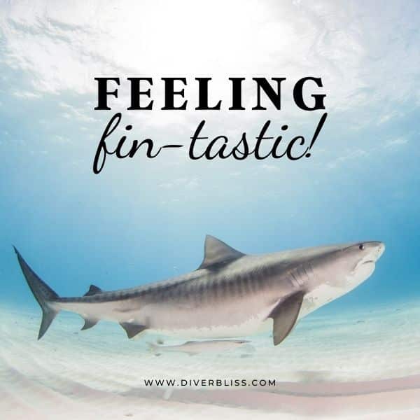 Witty Ocean and Sea Puns: feeling fintastic
