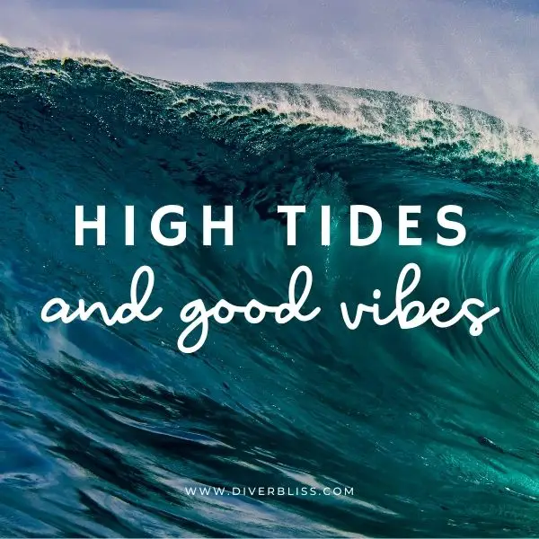 Ocean Waves Captions for Instagram: high tides and good vibes