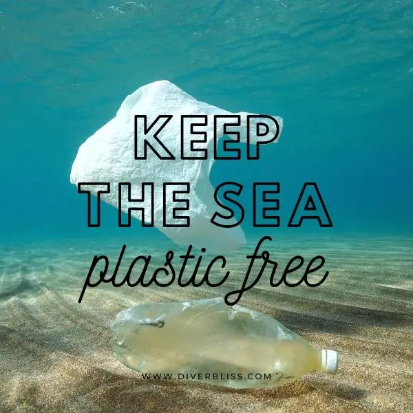 Ocean Conservation Captions for Instagram: Keep the sea plastic free