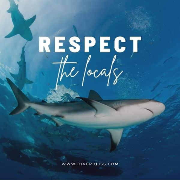 Ocean Conservation Captions for Instagram: Respect the locals 