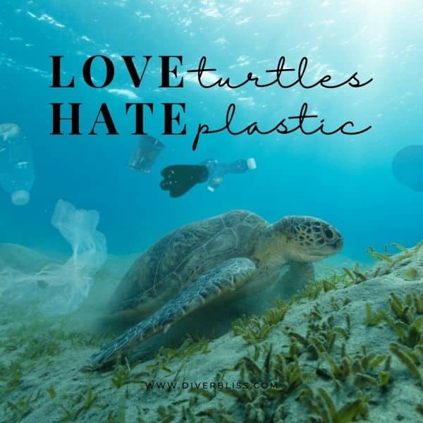 Ocean Conservation Captions for Instagram: love turtles hate plastic