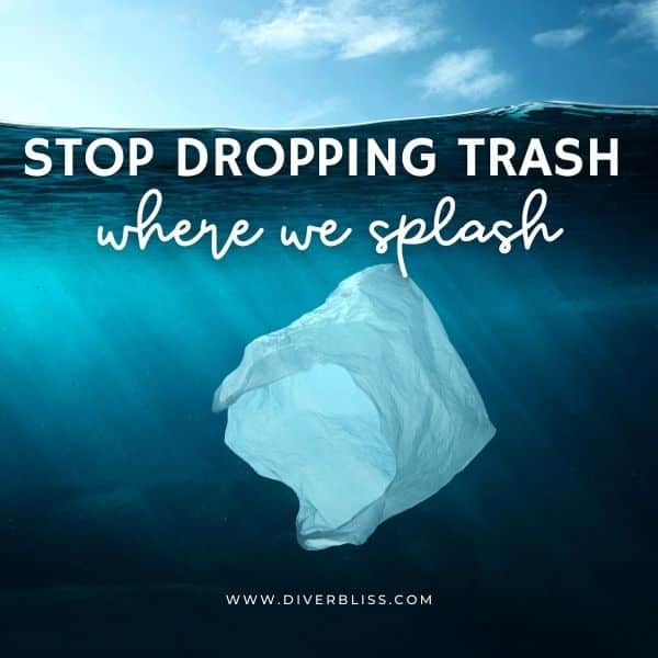 Ocean Conservation Captions for Instagram: Stop dropping trash where we splash