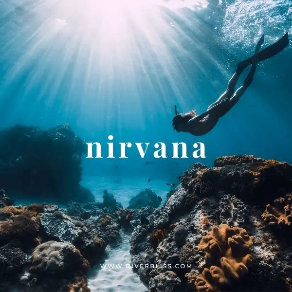 One word captions: nirvana